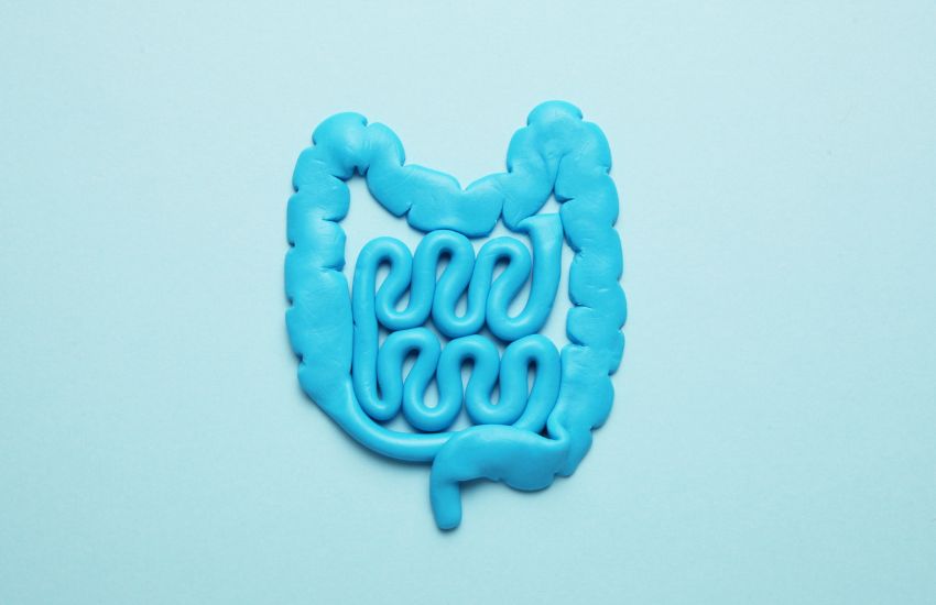 PCOS/PMOS e intestino: cosa sappiamo oggi dell’asse intestino-ovaio