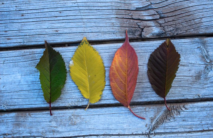PCOS/PMOS e cambio di stagione: perché ci sentiamo più stanche?
